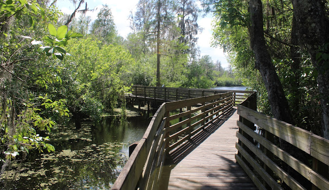 Printing Services in Buena Ventura Lakes, FL